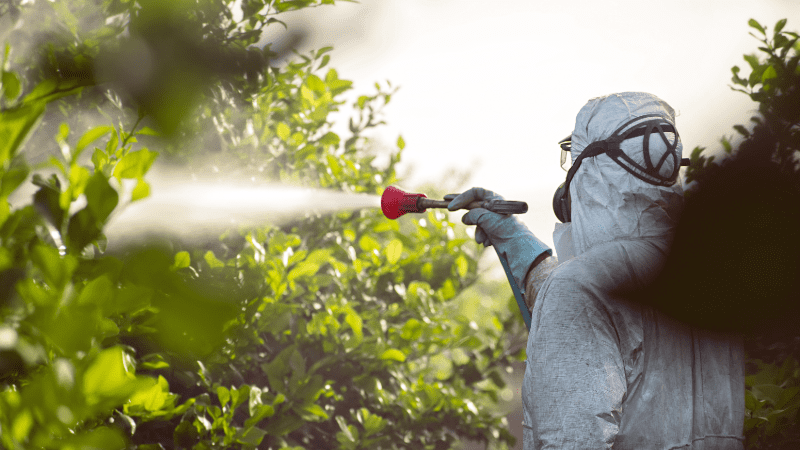 Pulvérisation de pesticides sur des arbres dans un jardin