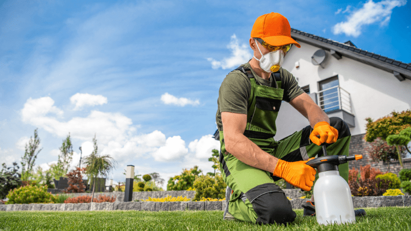 Pulvérisation de pesticides dans un jardin