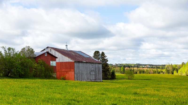 Grange traditionnelle au milieu d'un champ verdoyant au Québec