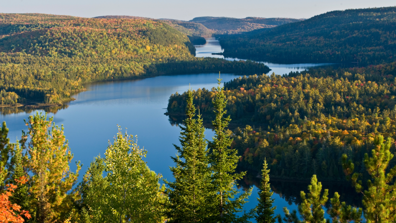 Vue aérienne d'une rivière serpentant à travers des collines boisées au Québec